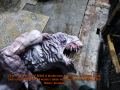metro 2014-08-29 18-45-32-15.png